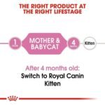 ⁦رويال كانين – طعام جاف للقطط الأم والقطط الصغيرة 2 كجم⁩ - الصورة ⁦2⁩
