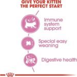 ⁦رويال كانين – طعام جاف للقطط الأم والقطط الصغيرة 2 كجم⁩ - الصورة ⁦7⁩